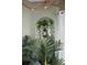 Decorated corner with plants and lantern at 2511 Calabria Ave, Davenport, FL 33897