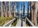 Scenic boardwalk leading through a grove of cypress trees to a private dock and boathouse at 5524 Sail Ct, Orlando, FL 32819