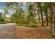 View of the property from the street, showing the yard with flowers and trees in the front at 7252 June Bug Ln, Orlando, FL 32818