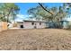 View of backyard with partial fence, showcasing building exterior and potential for landscaping or outdoor activities at 913 Ferndell Rd, Orlando, FL 32808