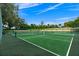 Well-maintained tennis and pickleball courts with a view of surrounding green landscape at 9235 San Jose Blvd, Howey In The Hills, FL 34737