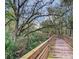 A scenic walking path through a lush, green forest at 11464 Beau Repost Dr, Orlando, FL 32832