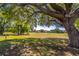 Expansive backyard with lush green grass and mature trees at 1714 Golfview Dr, Kissimmee, FL 34746