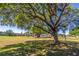 Backyard view of a community golf course, landscaping, and mature tree at 1714 Golfview Dr, Kissimmee, FL 34746