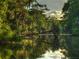 Scenic nature view of Spruce Creek with tranquil water and lush, moss-draped trees at 2007 Cornell Pl # 4, Port Orange, FL 32128