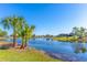 Lawn view of the pond with Palm Trees at 3109 Bear Path, Kissimmee, FL 34746