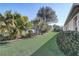 Backyard with lawn, bushes and palm trees along side of house at 7233 Se 171St Pond Ln, The Villages, FL 32162
