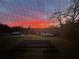 Backyard with a fiery sunset, lush green grass, and two sheds are partially obscured by a screen at 13045 Mountain Trail, Clermont, FL 34715