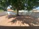 Backyard with a mature tree, privacy fence and brick patio at 1714 Sherbourne St, Winter Garden, FL 34787