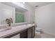 Bright bathroom with a sink and vanity, decorative plant, and mirror at 1744 Wilson Prairie Cir, Groveland, FL 34736