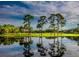 Picturesque pond view reflecting trees and a golf cart under a cloudy blue sky at 3704 Via Monte Napoleone Dr, Poinciana, FL 34759