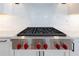 Close-up of a stainless steel Wolf stovetop with red knobs against a white subway tile backsplash and white cabinets at 831 W Harvard St, Orlando, FL 32804