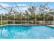 Sparkling pool and spa surrounded by a screened enclosure and lush greenery at 112 E Cumberland Cir, Longwood, FL 32779