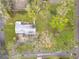 An aerial view of the property with beautiful tree coverage, a driveway, and nice grass at 607 Powers Ave, Port Orange, FL 32127