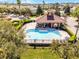 Aerial view of the community pool, surrounded by lush landscaping and palm trees at 723 Marotta Loop, Ocoee, FL 34761