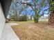 Spacious backyard featuring mature trees and a concrete patio area, great for outdoor entertaining at 1625 Victory Palm Dr, Edgewater, FL 32132