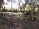 A view of the backyard showing a chainlink fence and lots of foliage at 204 S Center St, Eustis, FL 32726