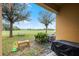 Back porch offers an outdoor area for relaxation, overlooking a large grassy field at 20648 Maxim Pkwy Pkwy, Orlando, FL 32833