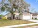 Inviting single-Gathering home with a well-maintained lawn and established shade tree at 250 Ryans Ridge Ave, Eustis, FL 32726