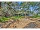 Backyard view featuring large trees and lush foliage surrounding a home at 3508 Rouse Rd, Orlando, FL 32817