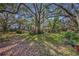 Backyard view featuring large mature trees with lovely Spanish moss, and lush green lawns at 3508 Rouse Rd, Orlando, FL 32817