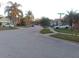 Peaceful street featuring well-maintained houses, palm trees, and sidewalks at 554 Lancer Oak Dr, Apopka, FL 32712