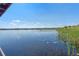 Beautiful lake view featuring lily pads and tall grasses with clear blue skies, showcasing a serene waterfront property at 6336 Buford St # 706, Orlando, FL 32835