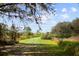 Large open backyard with an opening in the trees and shrubbery, with sunlight shining through at 8122 Pine Island Rd, Clermont, FL 34711