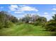 Open, green backyard with palm trees and a border of trees in the background, sunny blue sky at 8122 Pine Island Rd, Clermont, FL 34711