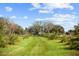 Beautiful driveway lined with palm trees, and a lush green lawn under a blue sky at 8122 Pine Island Rd, Clermont, FL 34711