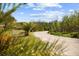 Gravel driveway bordered by palm trees and foliage under a sunny blue sky at 8122 Pine Island Rd, Clermont, FL 34711