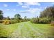 Verdant property access with a lush green driveway lined by vibrant plants under a beautiful, cloudy sky at 8122 Pine Island Rd, Clermont, FL 34711