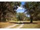 Scenic land view showcasing a peaceful dirt path through trees and field, creating a serene atmosphere at 8122 Pine Island Rd, Clermont, FL 34711