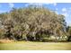 Idyllic landscape with mature trees providing ample shade on the open land, creating a serene atmosphere at 8122 Pine Island Rd, Clermont, FL 34711