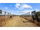 Unique farm road under a blue sky, showcasing open space with potential for agricultural or recreational use at 8122 Pine Island Rd, Clermont, FL 34711