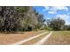 Scenic property view featuring lush trees, open land, and a natural dirt road leading through the parcel at 8122 Pine Island Rd, Clermont, FL 34711