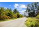 Scenic road with palm trees and green foliage lining a picturesque drive on a sunny day at 8122 Pine Island Rd, Clermont, FL 34711