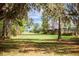 Large, manicured green yard with a border fence and foliage, under a bright sunny sky at 8122 Pine Island Rd, Clermont, FL 34711