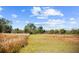 Field of tall grass and sprinklers, leading to trees, under a cloudy blue sky at 8122 Pine Island Rd, Clermont, FL 34711