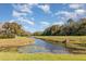 Scenic view of the community pond featuring lush landscaping and tranquil water, perfect for relaxation at 8155 Brocatel Ct, Orlando, FL 32822