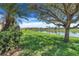 Scenic backyard view with lush green lawn, mature trees, and a serene lake backdrop at 1950 Windward Oaks Ct, Kissimmee, FL 34746