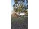 Spacious backyard featuring healthy trees, a garden, and a bit of early morning sunlight at 272 Loma Bonita Dr, Davenport, FL 33837