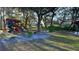 Charming community playground with slides, swings, and climbing structures, nestled among mature trees and foliage at 2932 Bayhead Run, Oviedo, FL 32765