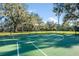 Outdoor basketball court with green surface and white lines surrounded by a black fence and mature trees at 34000 Fortunado St, Sorrento, FL 32776