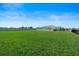 Wide view of large, level backyard featuring well-maintained grass, mature landscaping, and a privacy fence at 4210 Sunset Preserve Blvd, Orlando, FL 32820