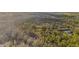 Verdant treetop view reveals a sprawling property and dwelling bordered by a mix of evergreens and light barren trees at 11811 Kijik Trl, Groveland, FL 34736