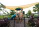 Community playground featuring a slide and climbing structure, surrounded by lush landscaping at 3332 Logan Berry Dr, Mount Dora, FL 32757