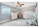 Serene Bedroom featuring a ceiling fan, large window, and soft gray walls at 1804 Wind Willow Rd, Belle Isle, FL 32809