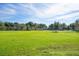 Expansive green field within the community, offering ample space for recreational activities and outdoor enjoyment at 8276 Maritime Flag St # 110, Windermere, FL 34786