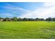 Open green field in the community, perfect for sports and activities, with a backdrop of trees and clear blue skies at 8276 Maritime Flag St # 110, Windermere, FL 34786